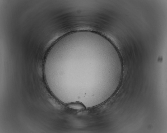 X0000089460345200707131953