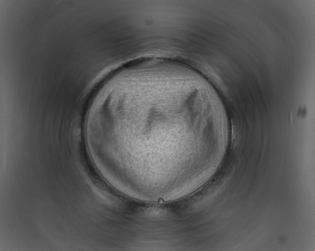 X0000089460348200707131953