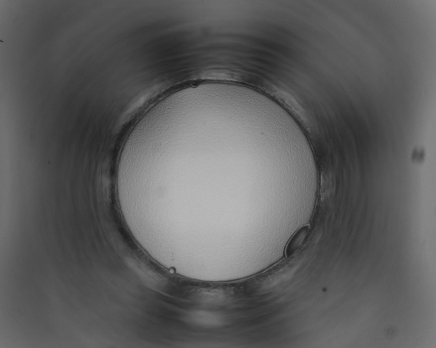 X0000089460349200707131953