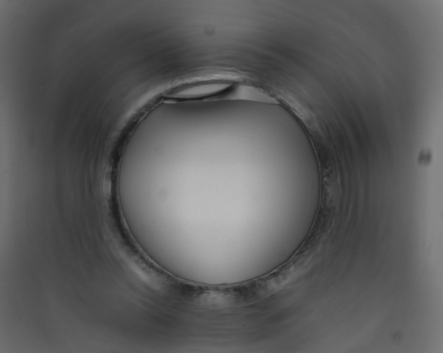 X0000089460350200707131953