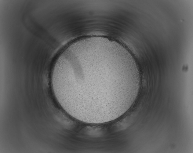 X0000089460351200707131953