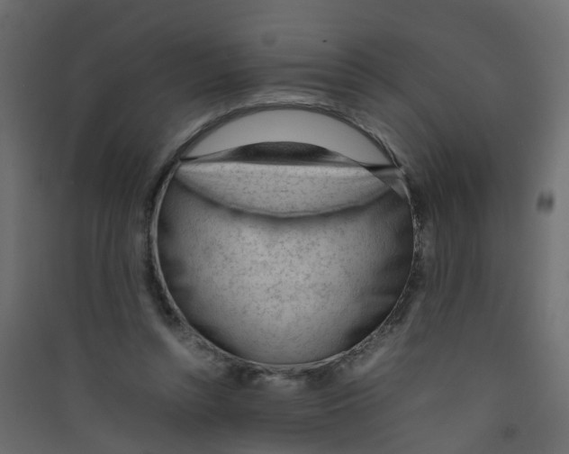 X0000089460352200707131953