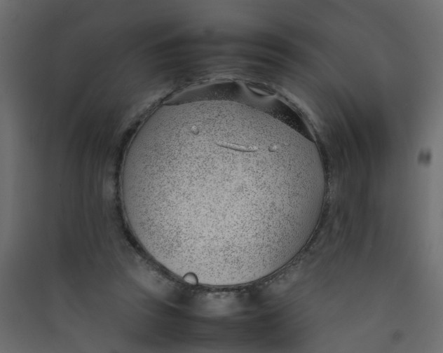 X0000089460353200707131953