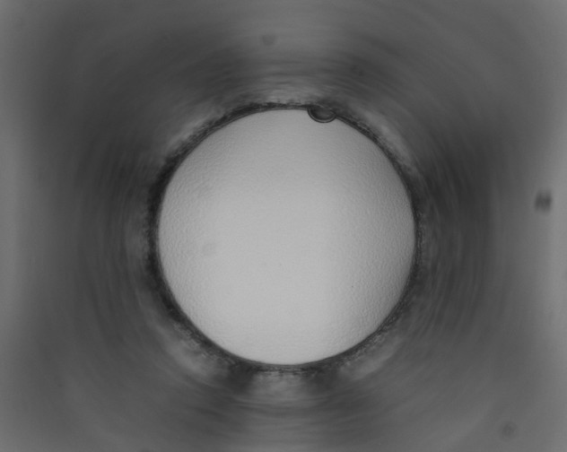 X0000089460354200707131953