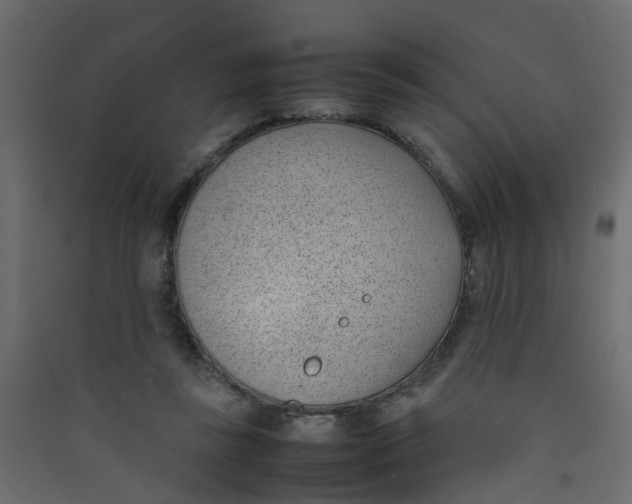 X0000089460355200707131953