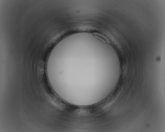 X0000089460356200707131953