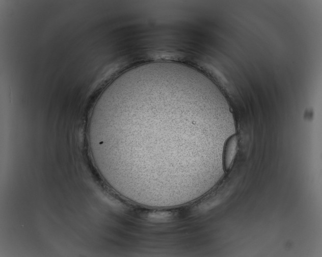 X0000089460357200707131953