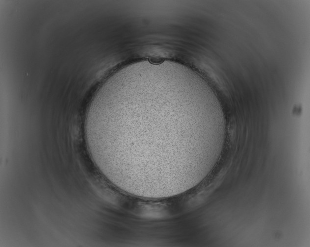 X0000089460359200707131953