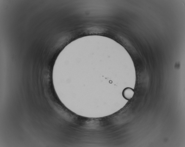 X0000089460362200707131954