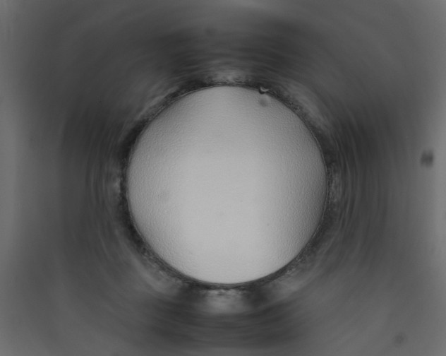 X0000089460363200707131954