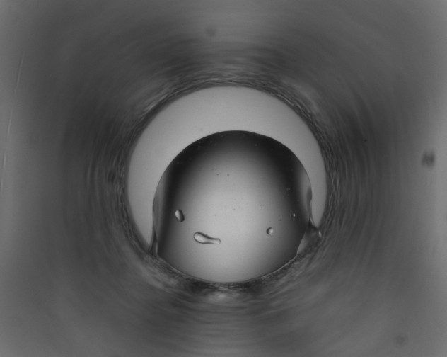 X0000089460364200707131954