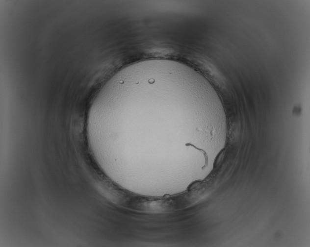 X0000089460365200707131954