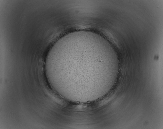 X0000089460366200707131954