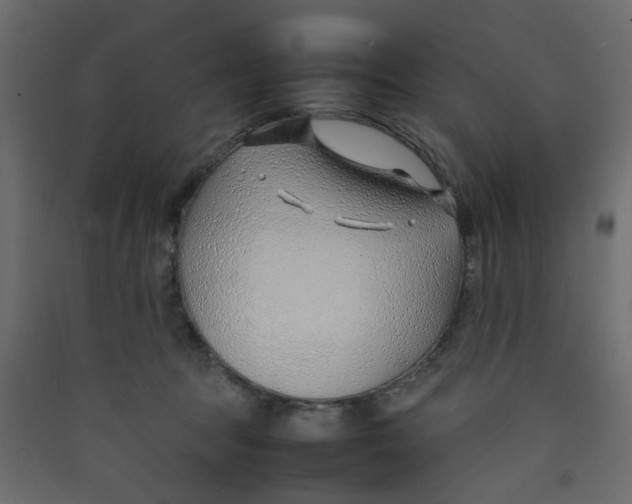 X0000089460369200707131954