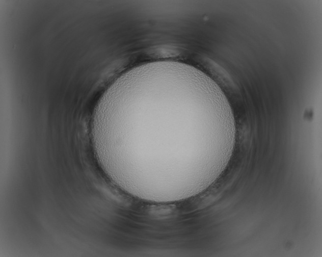 X0000089460373200707131954