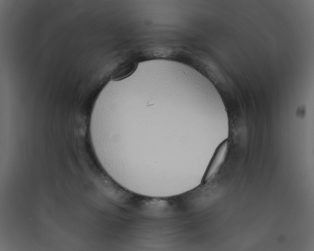 X0000089460374200707131954