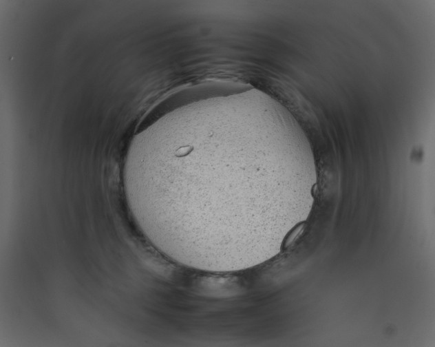 X0000089460375200707131954