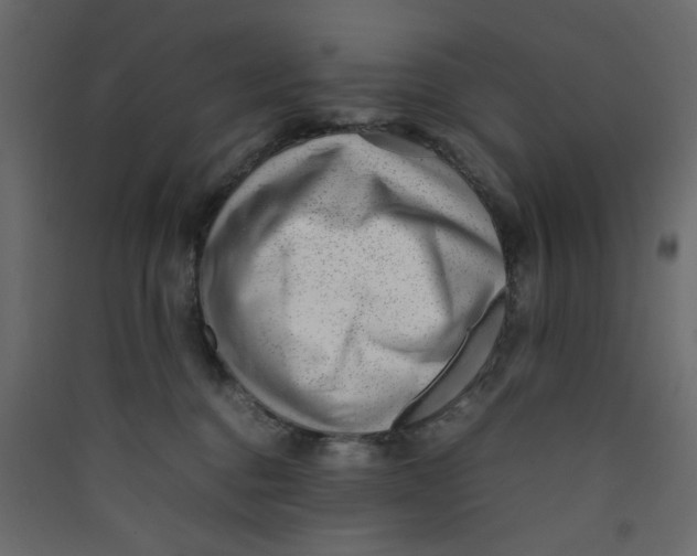 X0000089460376200707131954