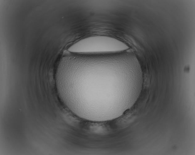 X0000089460377200707131954