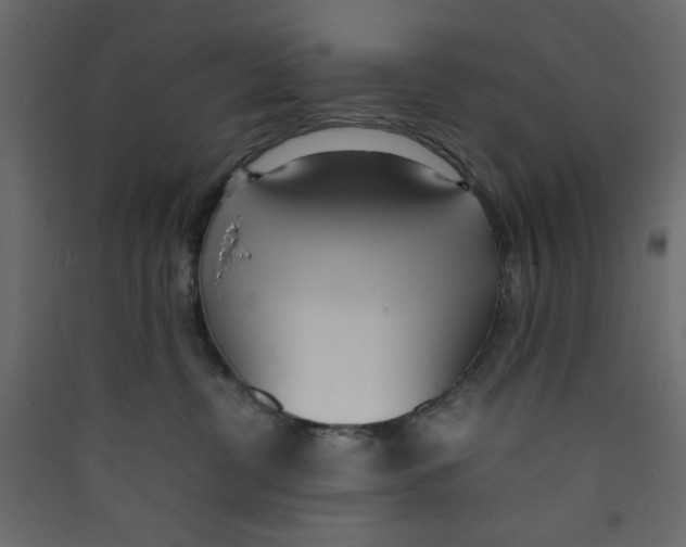 X0000089460380200707131954