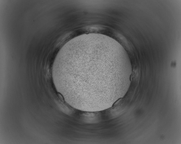 X0000089460381200707131954