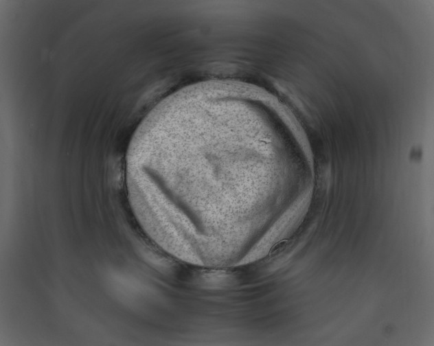 X0000089460383200707131954