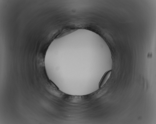 X0000089460384200707131954