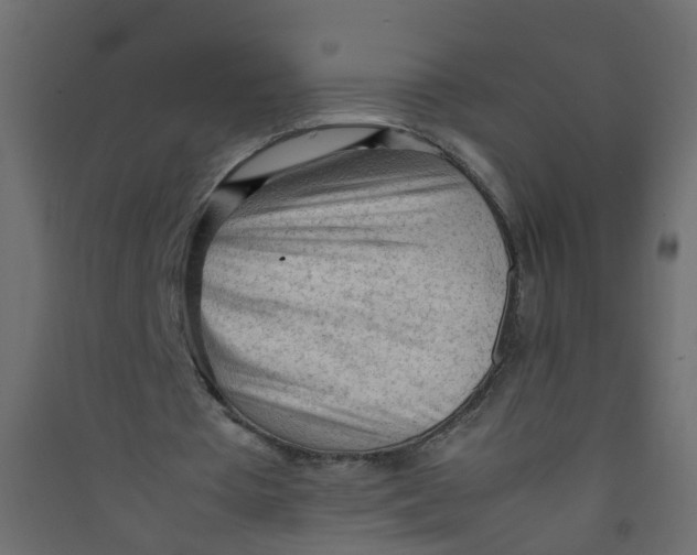 X0000089460385200707131953