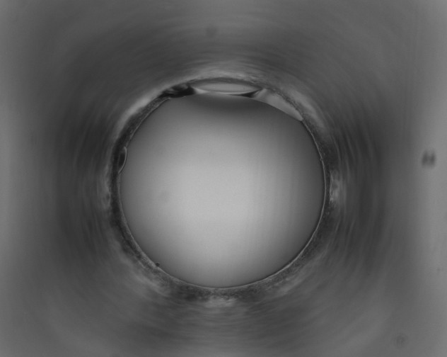 X0000089460388200707131953