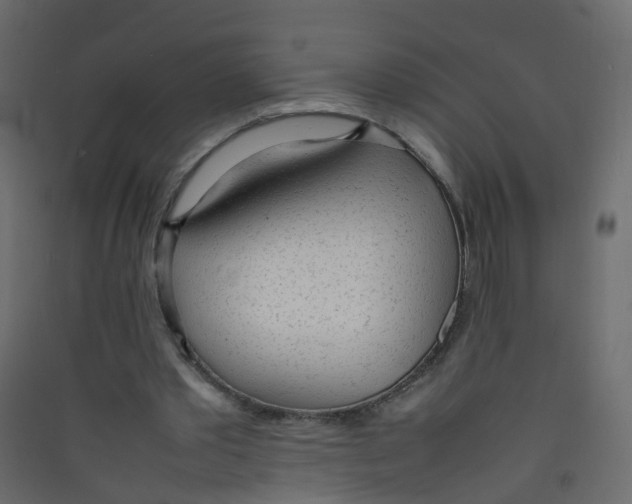 X0000089460389200707131953