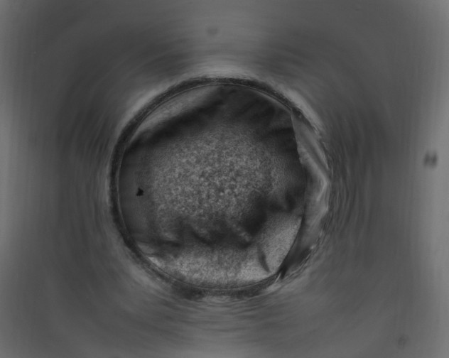 X0000089460391200707131953