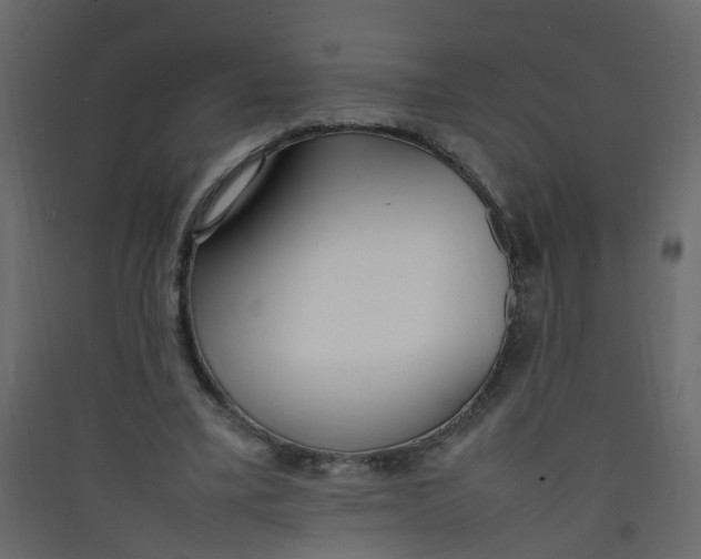 X0000089460395200707131953