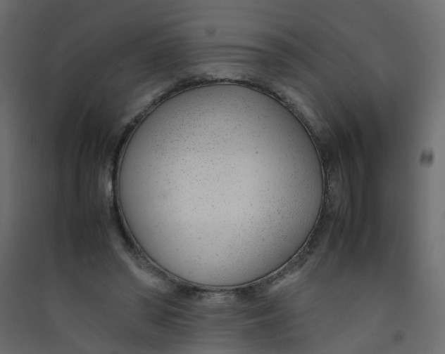 X0000089460398200707131953