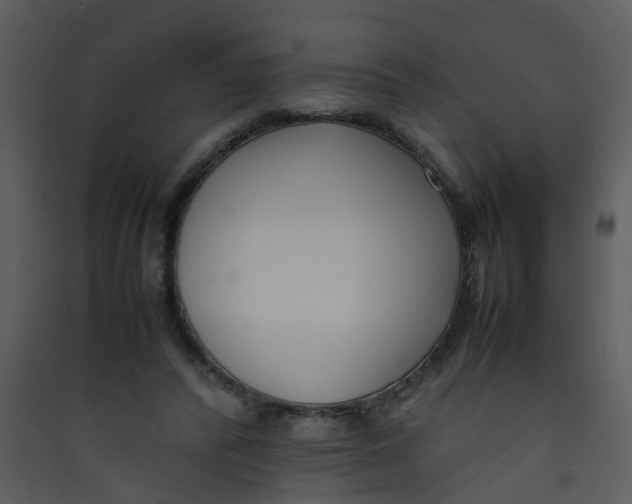 X0000089460400200707131953