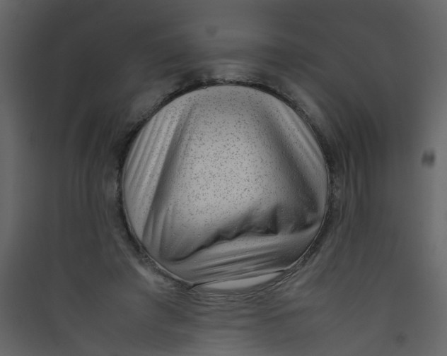 X0000089460401200707131953