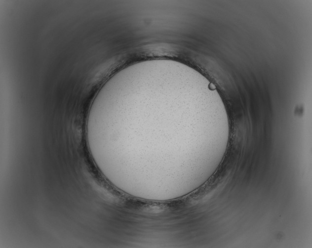 X0000089460402200707131953