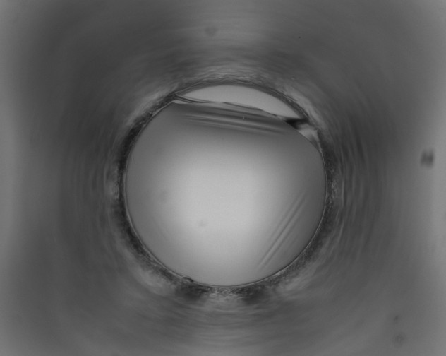 X0000089460403200707131953