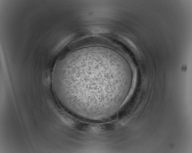 X0000089460405200707131953