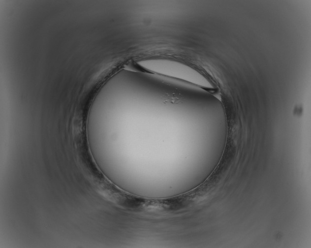 X0000089460407200707131953