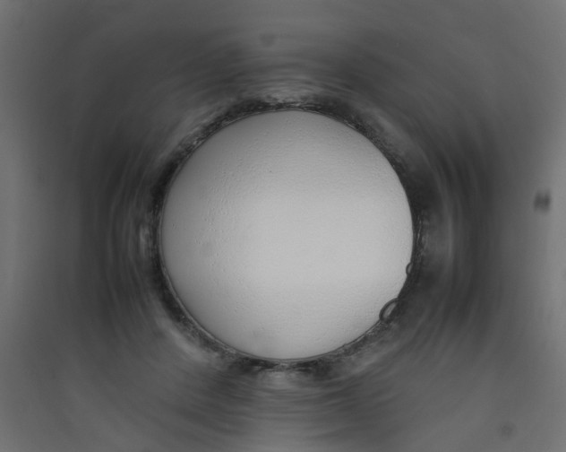 X0000089460408200707131953