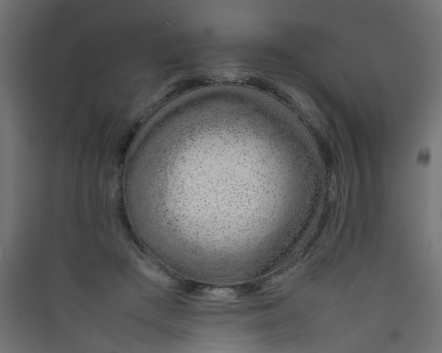 X0000089460409200707131953