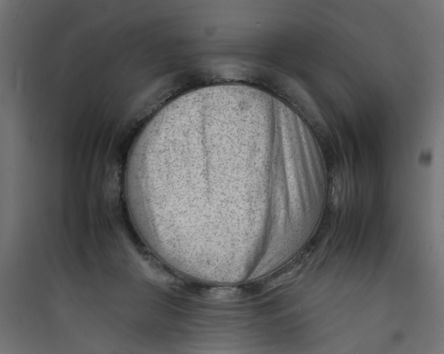 X0000089460410200707131953