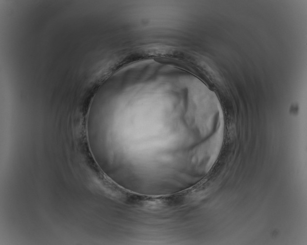 X0000089460411200707131953