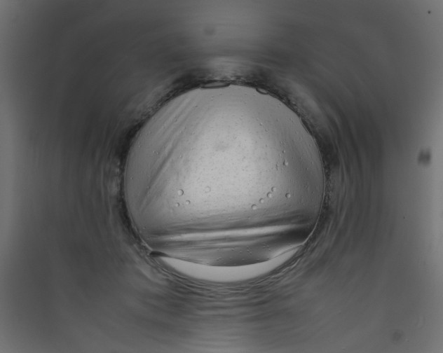 X0000089460413200707131953