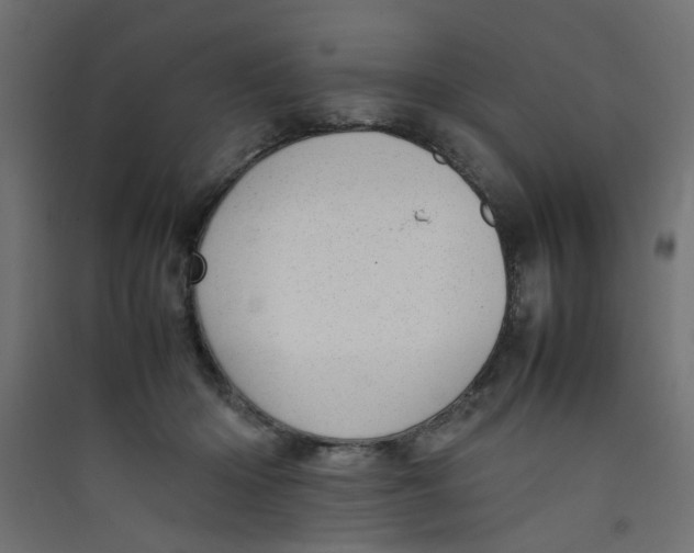 X0000089460414200707131953