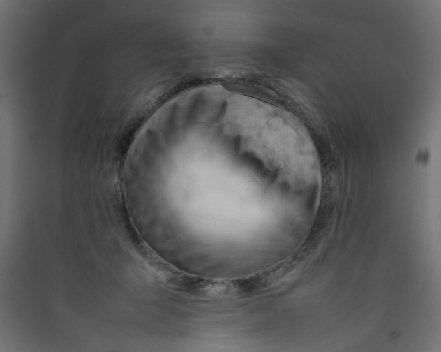 X0000089460415200707131953