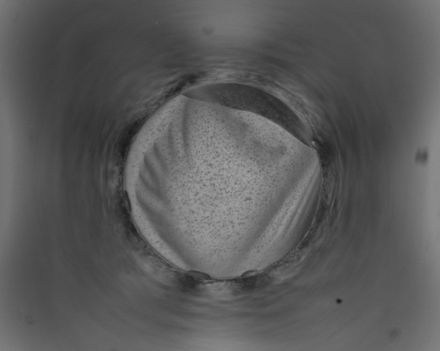 X0000089460417200707131953