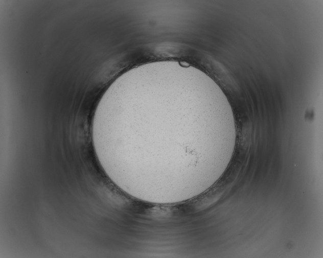 X0000089460418200707131953