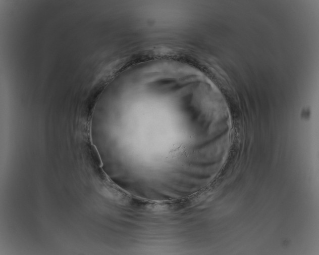 X0000089460419200707131953