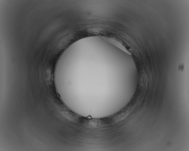 X0000089460420200707131953